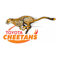 Cheetahs