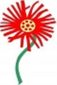 Limpopo U21