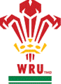 Wales U20