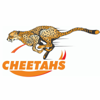 Toyota Cheetahs U20